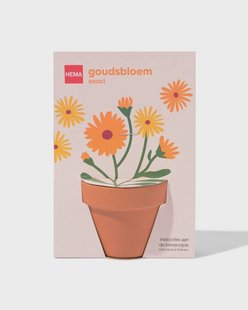 HEMA Groeipot goudsbloem