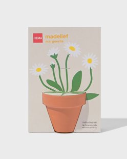 HEMA Groeipot madeliefje