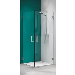 swingdeur (voor comb. hoekinstap) 900 breed 2000 hoog roestvrij staal helder glas + antikalk