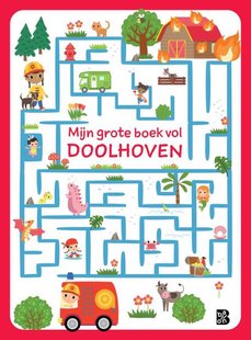 Mijn grote boek vol doolhoven
