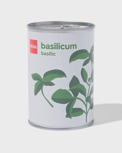 HEMA Groeiblik basilicum