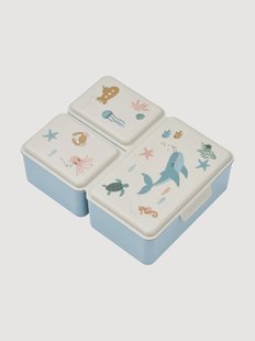 Kinderlunchbox Driss
