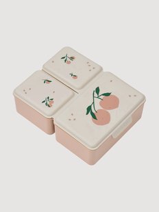 Lunchbox voor kinderen Driss