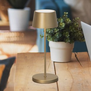 FH Lighting LED tafellamp Asena Pro bronskleurig 30 cm metaal IP54