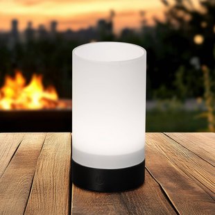 FH Lighting LED tafellamp Fenya, zwart/opaak mat Hoogte 14 cm IP54