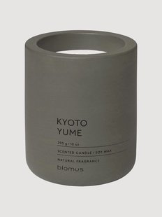 Geurkaars Fraga (Kyoto Yume)