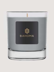 Met de hand gegoten geurkaars Ash (eucalyptus, zwarte bes)