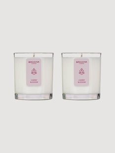 Handgemaakte geurkaarsen Delightful Symphony (kersenbloesem), 2-delig