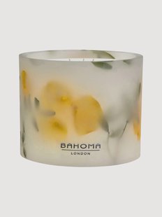 Met de hand gegoten 3-lonts geurkaars Botanica (citrus, muskus, dennen)