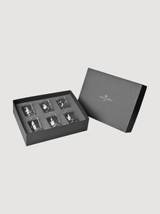 Kristallen whiskyglazen Portrait, 6-delig