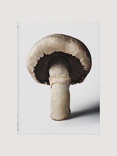 Koffietafelboek The Gourmand's Mushroom. A Collection of Stories &amp; Recipes