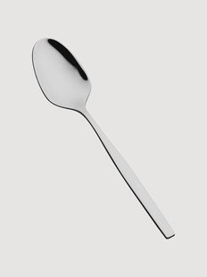 Hoogglans gepolijste theelepels Spa, 12-delig