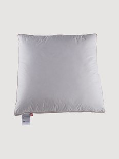 3-kamer donzen kussen The Swineherd, medium