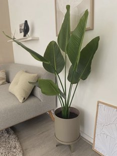 Kunst Strelitzia 120 cm