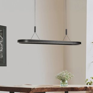 Steinhauer LED hanglamp Mykty, zwart, lengte 120 cm, metaal, 2-lamps.