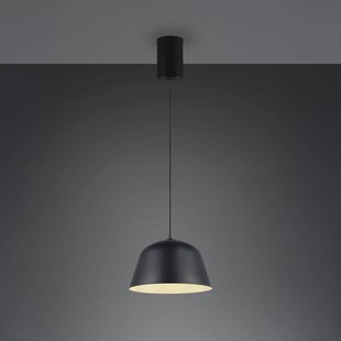 Reality Leuchten Hanglamp Tova, matzwart, Ø 30 cm, metaal, E27