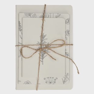 Setje schriften, dille, kruiden en takjes