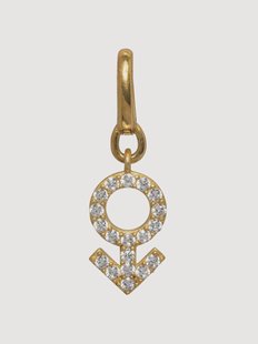 Hanger Male voor hondenhalsband