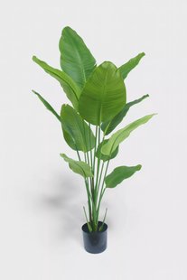 Kunst Strelitzia 150 cm