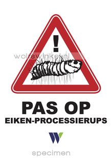 A4 bordje pas op eikenprocessierups