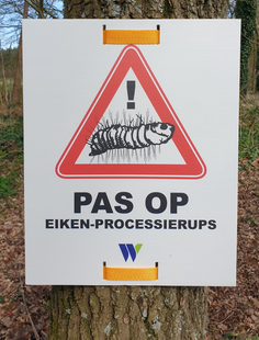 Gevaarsbord pas op eikenprocessierups