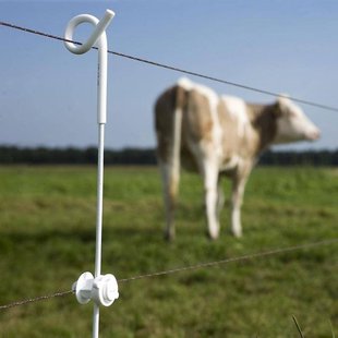 Gallagher Vidoflex 9 TurboLine Plus Terra (1000m) - Voor maximale stroomgeleiding