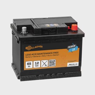 Gallagher Accu 12V/65Ah Premium LA - Compacte accu voor energievoorziening in schrikdraadsystemen