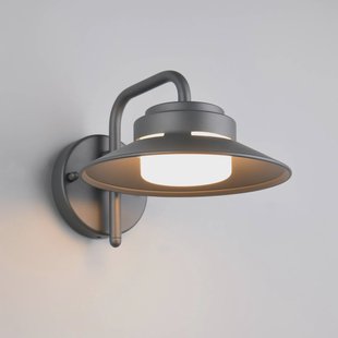Trio Lighting Buitenwandlamp Atrato, antraciet, Ø 20 cm, metaal
