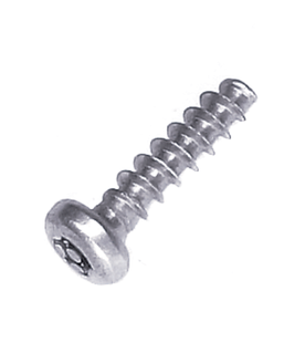 Veiligheidsschroef sts t40x16-