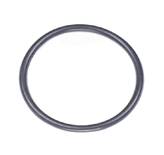 O-ring 1"