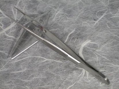 A.a.s. splinter pincet spits 12cm stainl