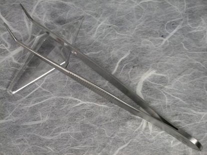 A.a.s. splinter pincet 13cm stainless/sa