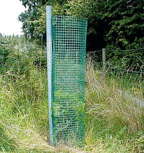 Plantagard vrije groei  30cm ø x 120cm