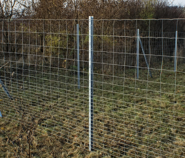 Nordforest cw40 wild raster paal 250 cm