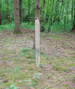 Bio groeibeschermingsnet 125cm 10cmø