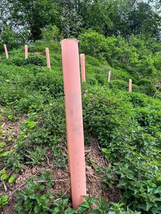 Tubex bio beschermbuis 120cm iso17556