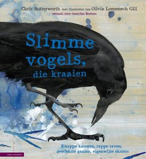 Slimme vogels, die kraaien