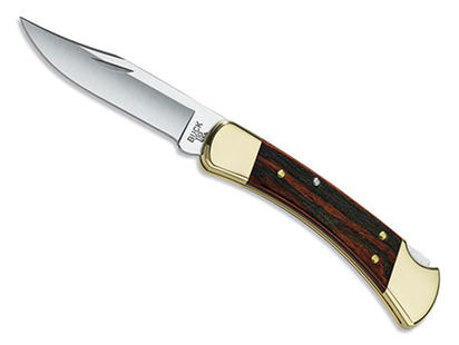 Buck 110 Folding Hunter Ebony – Tijdloos Zakmes van 420HC met Ebbenhout Handgreep