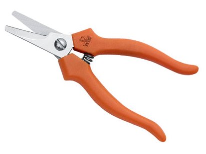 Due cigni allesknipper