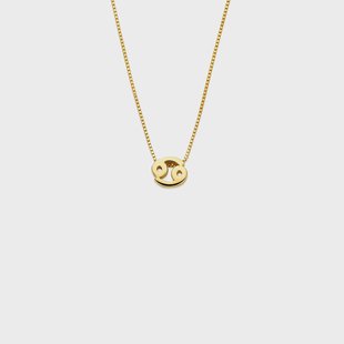 Isabel Bernard Étoiles d’Or Kreeft 14-karaat Gouden Venetiaanse Ketting met Horoscoop voor dames