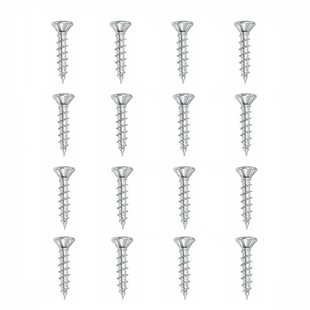 Set stalen schroeven verzinkt rond ø 0,4 cm en lengte 2 cm - 16 stuks