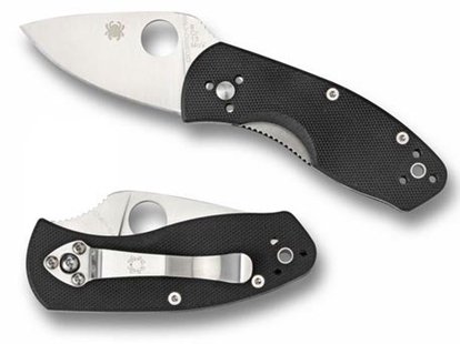 Spyderco ambitious pe