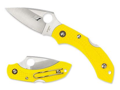 Spyderco dragonfly 2 salt pe