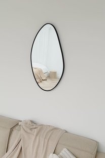 Organische spiegel 82x46 cm - Zwart