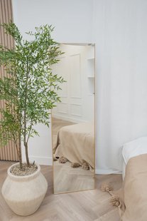 Rechthoekige spiegel 170×50 cm - Zacht Goud