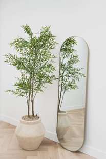 Ovale spiegel 170x50 cm - Greige