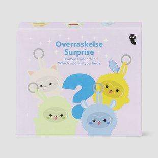 Verzamelverrassing - pluche lentegezichtjes