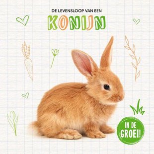 Konijn