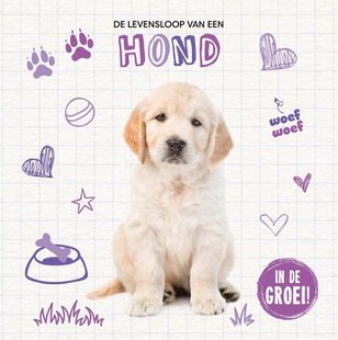 Hond