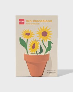 HEMA Groeipot mini zonnebloem
